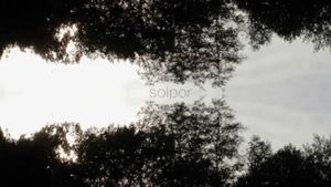 Solpor (C)'s poster