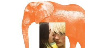 Elephant's poster
