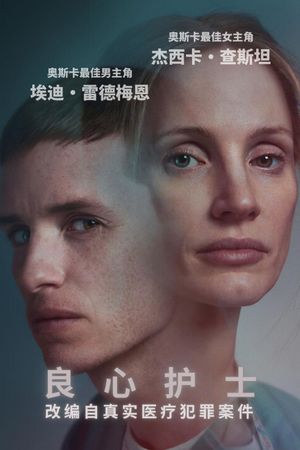 The Good Nurse's poster