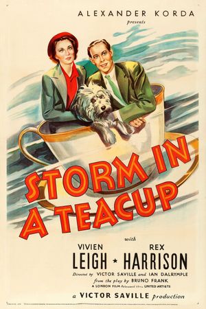 Storm in a Teacup's poster