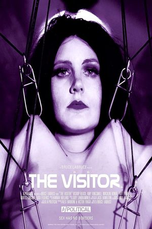 The Visitor's poster