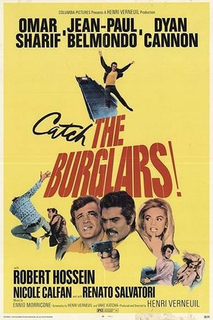 The Burglars's poster
