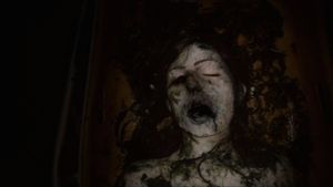Lake Mungo's poster