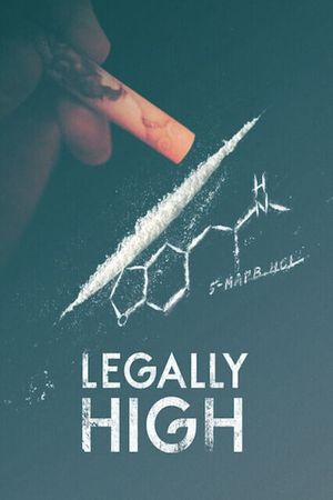 Legally High's poster