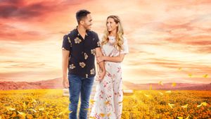 Love in the Limelight's poster