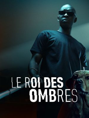 In His Shadow's poster