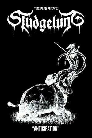 Anticipation: The Sludgelung Summer Tour's poster