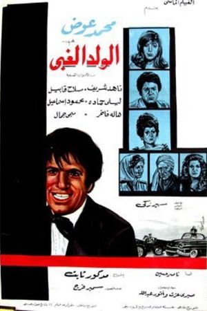 الولد الغبي's poster