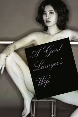 A Good Lawyer's Wife's poster