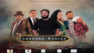 Addis Meraf's poster