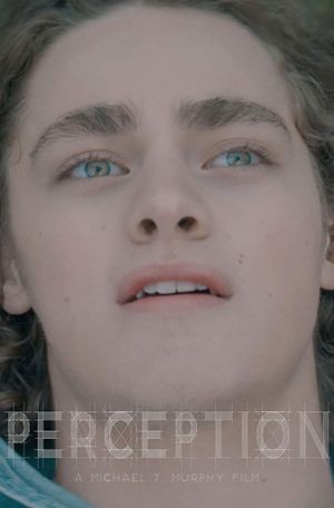 Perception's poster