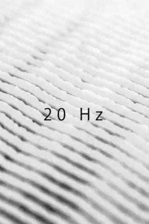 20 Hz's poster