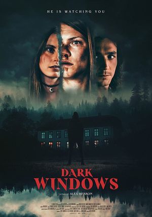 Dark Windows's poster
