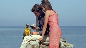Pierrot le Fou's poster
