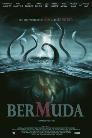 Bermuda's poster