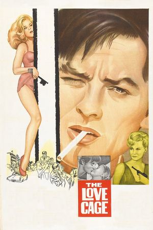 Joy House's poster