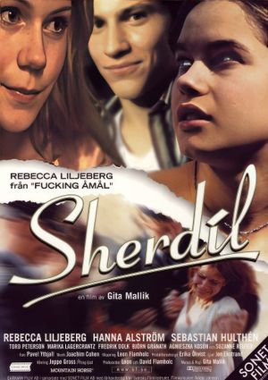 Sherdil's poster