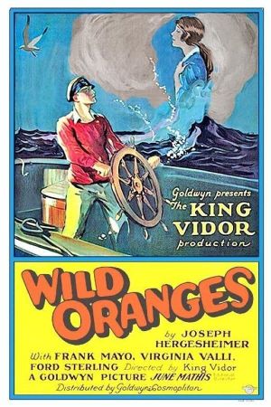 Wild Oranges's poster