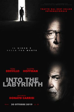 Into the Labyrinth's poster