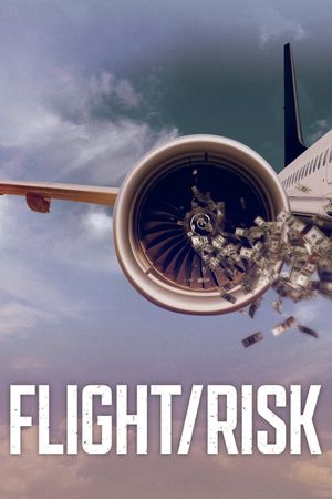 Flight/Risk's poster
