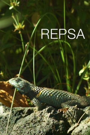 Repsa's poster