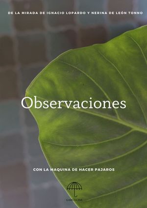 Observaciones's poster