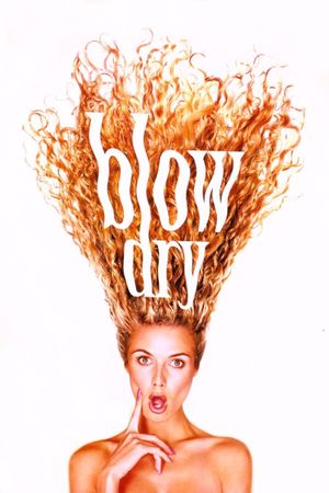 Blow Dry's poster