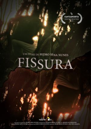 Fissura's poster