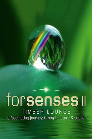 Forsenses II: Timber Lounge's poster