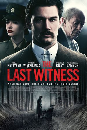 The Last Witness's poster