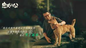 Hachiko's poster