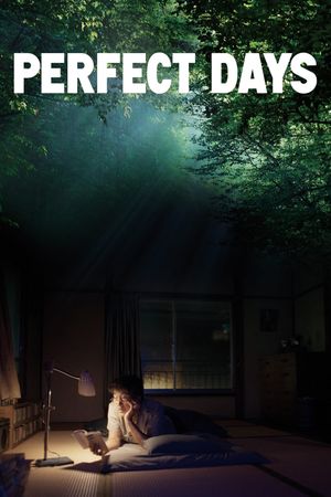 Perfect Days's poster