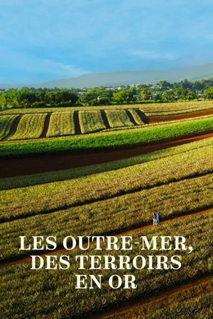 Les Outre-mer, des terroirs en or's poster