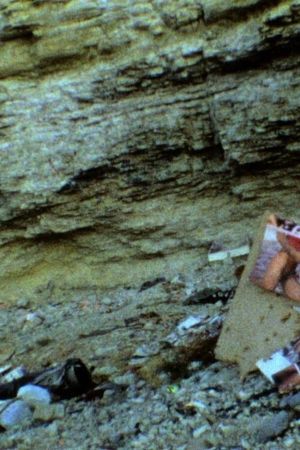 Those Inescapable Slivers of Celluloid's poster