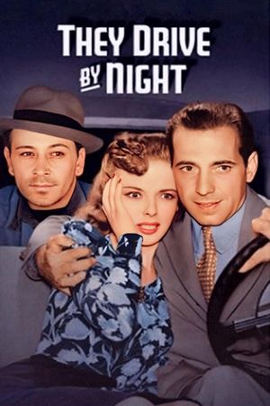 They Drive by Night's poster