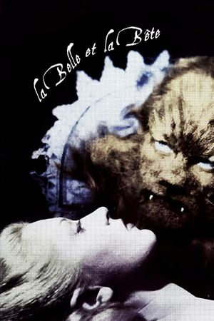 Beauty and the Beast's poster