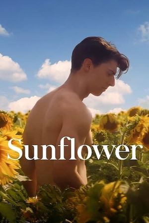 Sunflower's poster