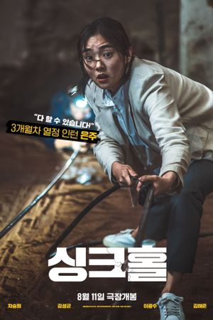 Sinkhole's poster
