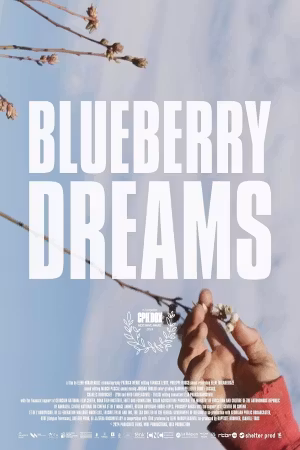 Blueberry Dreams's poster