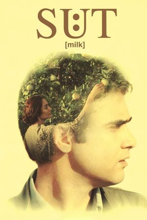 Süt's poster