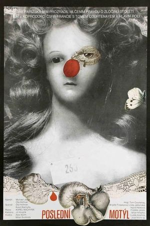 The Last Butterfly's poster