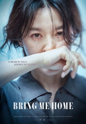 Bring Me Home's poster