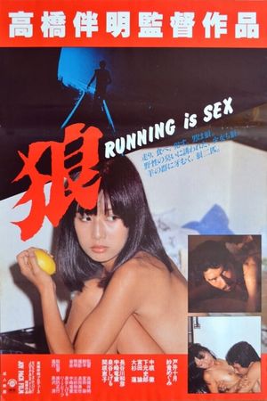Ôkami's poster image