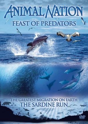 Feast of Predators's poster