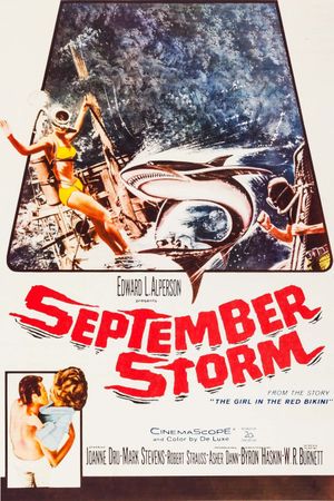 September Storm's poster