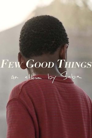 Few Good Things's poster