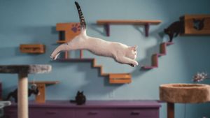 Inside the Mind of a Cat's poster