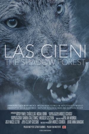 Las cieni's poster