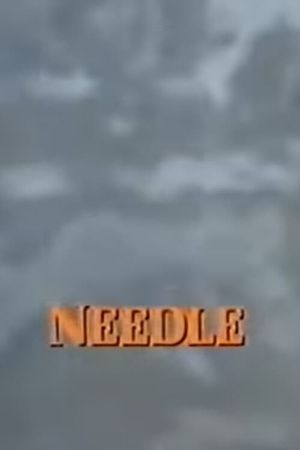 Needle's poster image