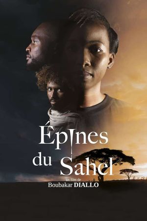 Épines du Sahel's poster